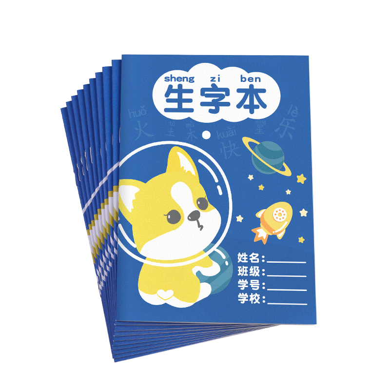 DiLe 16K Elementary School Student's Grid Notebook, Character Practice Book for First And Second Grade Chinese Language Writing Class, 14 Pages/Book (20 Books + 5 Pencils), 7050 Character Practice Book