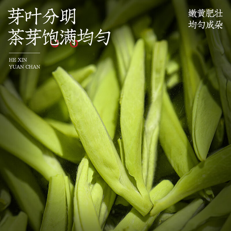福茗源茶叶 黄山毛峰绿茶 浓香特级三等明前新茶安徽春茶嫩芽罐装40g