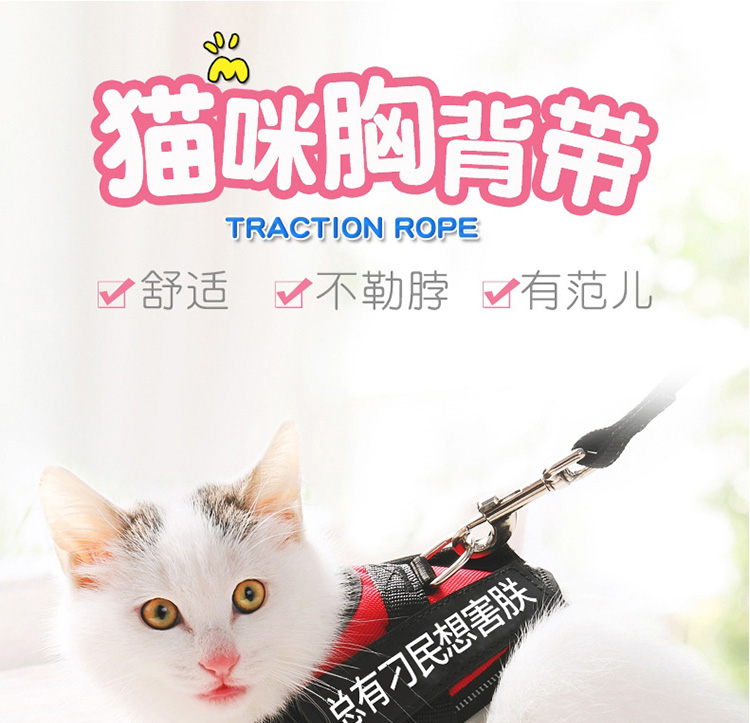 猫绳_01.jpg