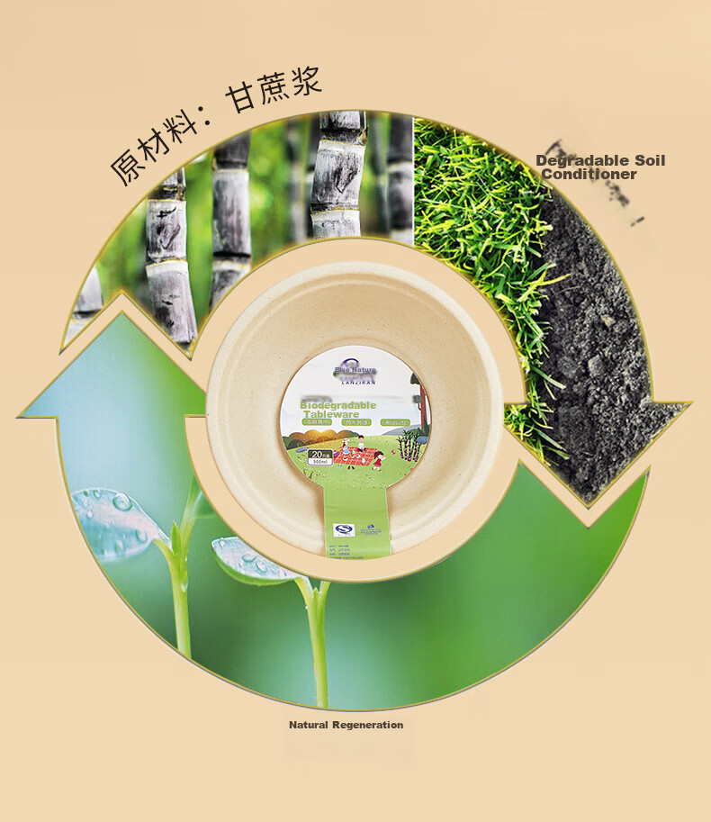 LANZIRAN Disposable Bowls, Natural Sugarcane Pulp Paper, Biodegradable Paper Bowls, 260ml (20 Pieces), Picnic Camping Utensils 4