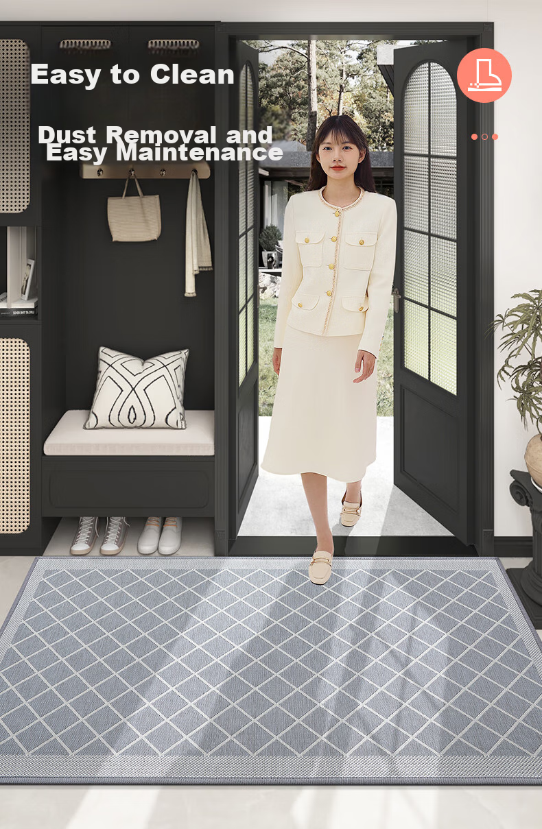 Dajiang Entrance Door Mat 2026 New Model Doorway Floor Mat Carpet 60x90cm 6