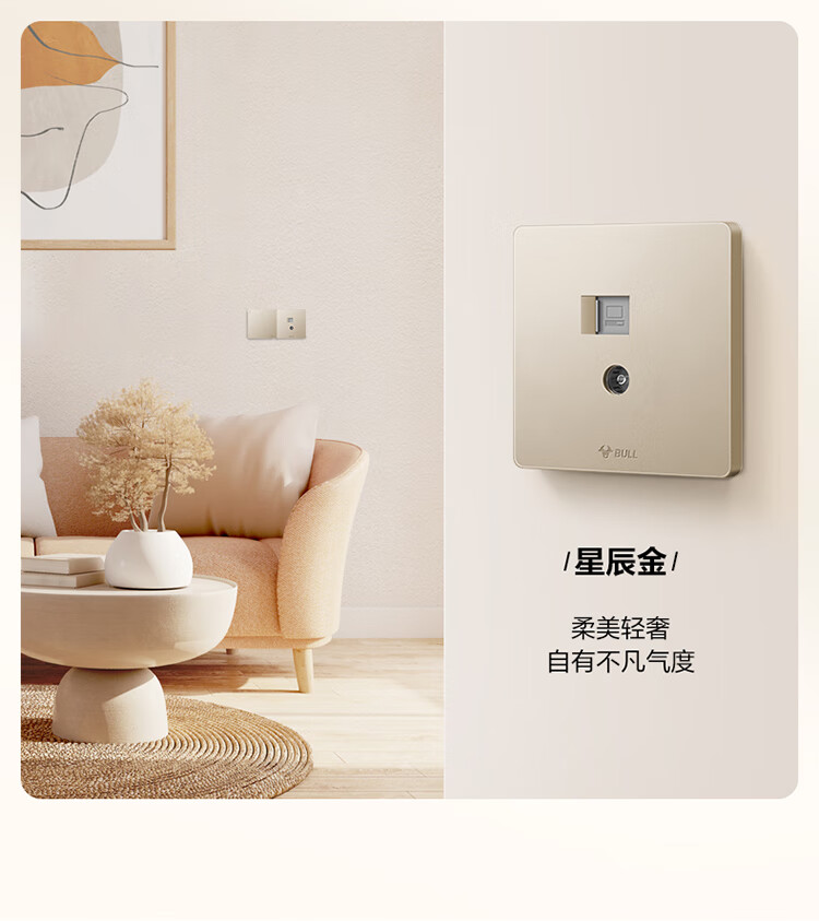 BULL Wall Socket G12 Series, Two-Outlet Computer And TV Socket, 86-Type Panel G12T223, Cream-Colored Space Silver 1