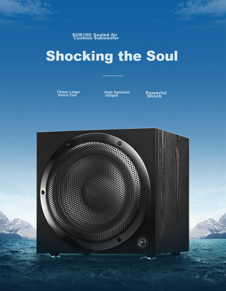 HiVi Sub10G Subwoofer Speaker, Home Theater Active Subwoofer, Living Room Audio System, 10-Inch Speaker, Wooden Constructio 1