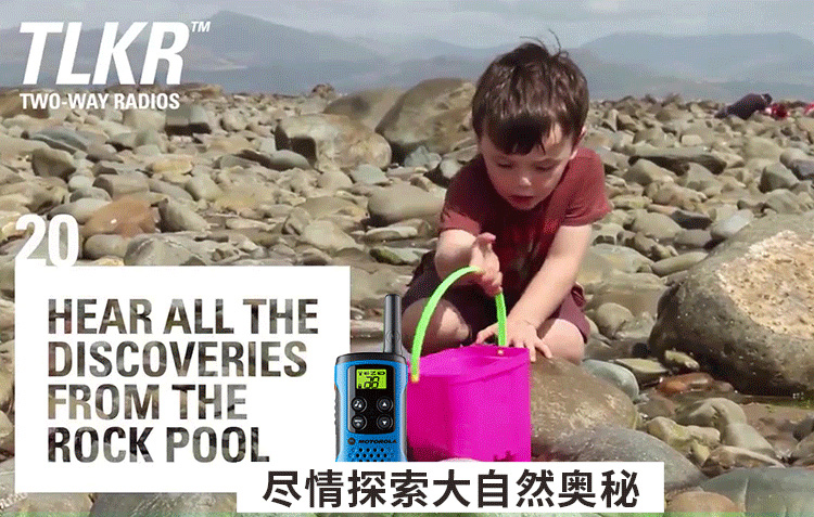 动图3.jpg