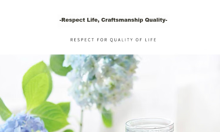 Jidukongjian Glass Vase, Flower Arrangement Vase, Hydroponic Plant Ecological Bottle, Transparent Desktop Vase for Living Room And Office Desk, Home Decor Ornament 6