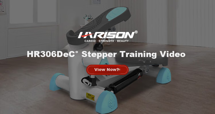 HARISON Treadmill, Home Low-Noise Small Mini Stepper Machine, Fitness Equipment, HR-306Deco 9