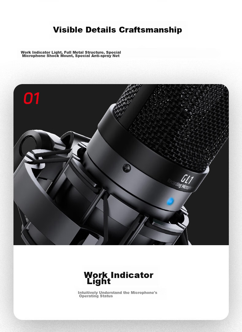 TAKSTAR GL1 Condenser Microphone, Computer Recording And Mobile Phone Live Streaming Sound Card Equipment Set 9