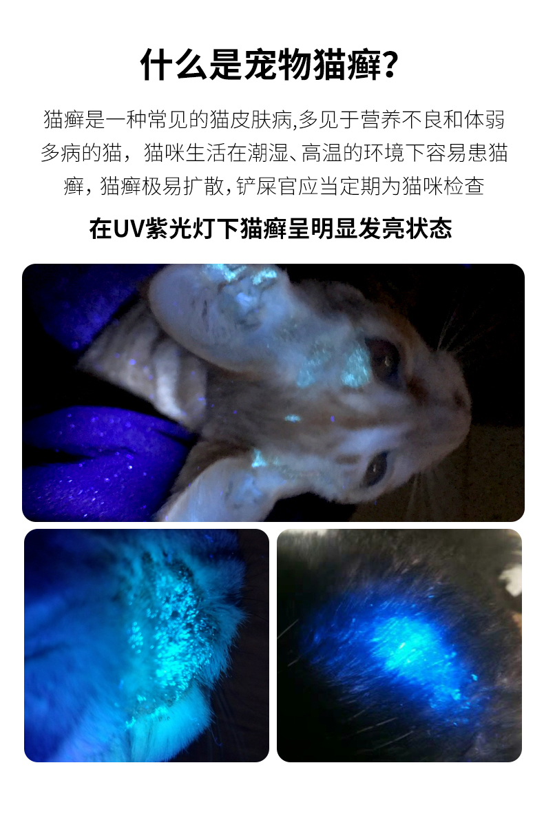 SHENYU Wood's Light Cat Ringworm Lamp for Dog Ringworm, Pet Fungal Detection, Currency Inspection Light, UV Flashlight V7 2