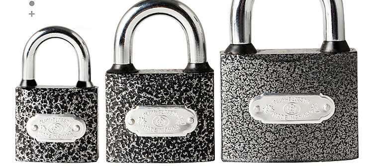 BLOSSOM Padlock for Warehouse, School, Home Use, Indoor And Outdoor Security Lock with Brass Core, Rust-Resistant Lock, 38mm BC1338 2