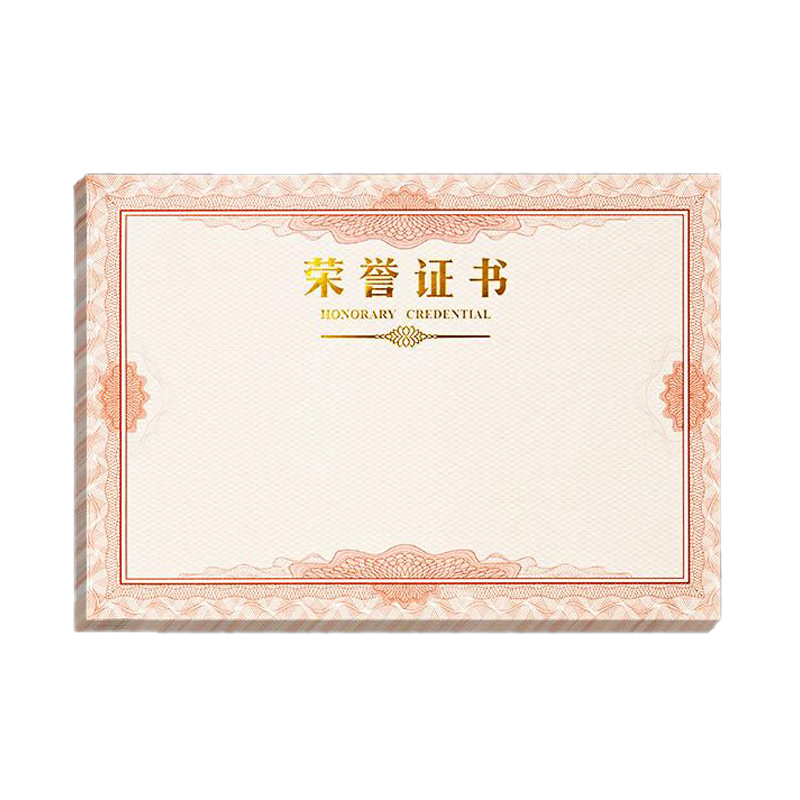 Tianshun A4 Graduation Certificate Inner Pages with Gold Foil, 120g Paper, Printable Training Inner Pages, Customizable with Free Printing Template, Graduation Certificate Inner Pages Large A4-20 Sheets