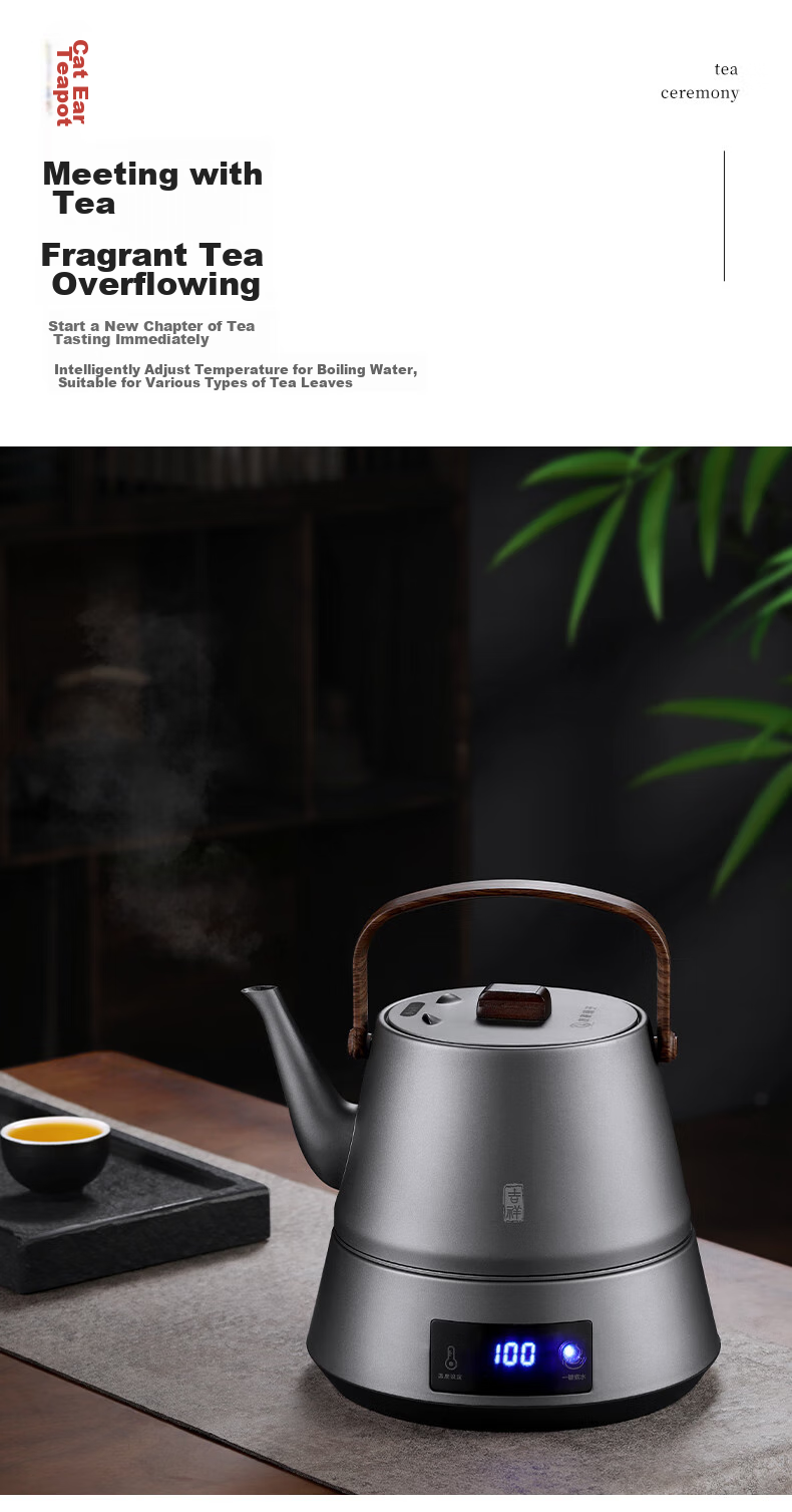 Biooner Fully Automatic Electric Kettle Water Boiler Tea Maker with Integrated Tea Table And Coffee Table for Brewing Tea And Coffee, Titanium Gray with Handle Steel Pot 7