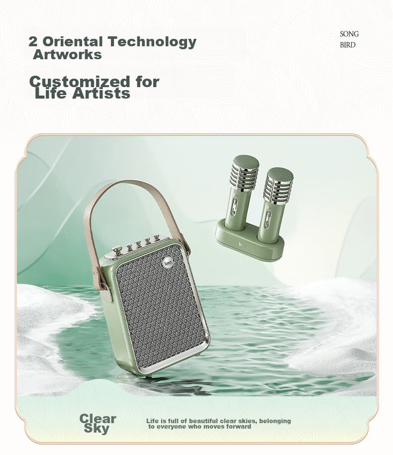 Divoom Bluetooth Karaoke Speaker with Microphone, Portable Outdoor Wireless Singing Mic for Home KTV, All-In Speaker System, Housewarming Gift for Girls And Teachers' Day Present 17