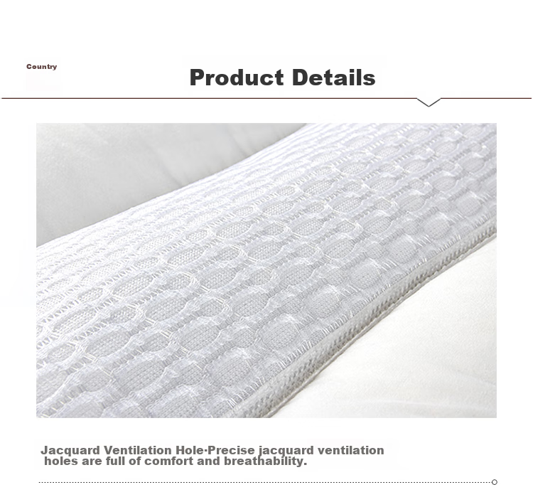AiSleep Pillow Core, Pillow with Cassia Seed And Buckwheat, Comfortable Adult Cervical Pillow 10