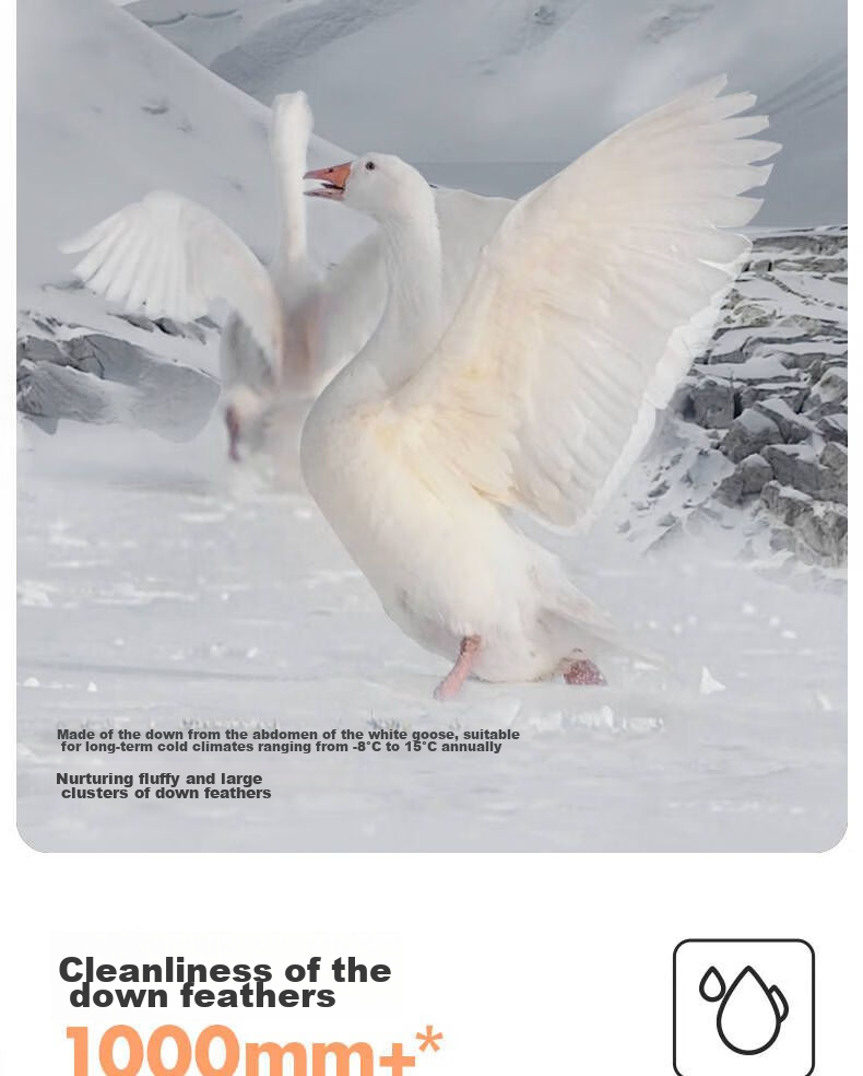 LOVO Class A 95% Kunlun White Goose down Duvet Summer Comforter 140g Filling 150*215cm White Student Dormitory 6