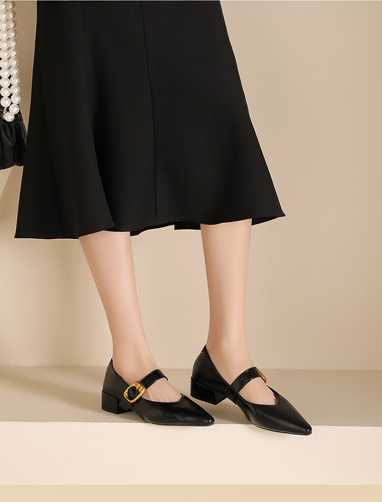 Josiny French Pointed Toe Single-Strap Mary Jane Shoes for Women, New Spring And Autumn 2026 Style Leather Shoes, Retro Chunky Heel Pumps, Black, Size 35 1