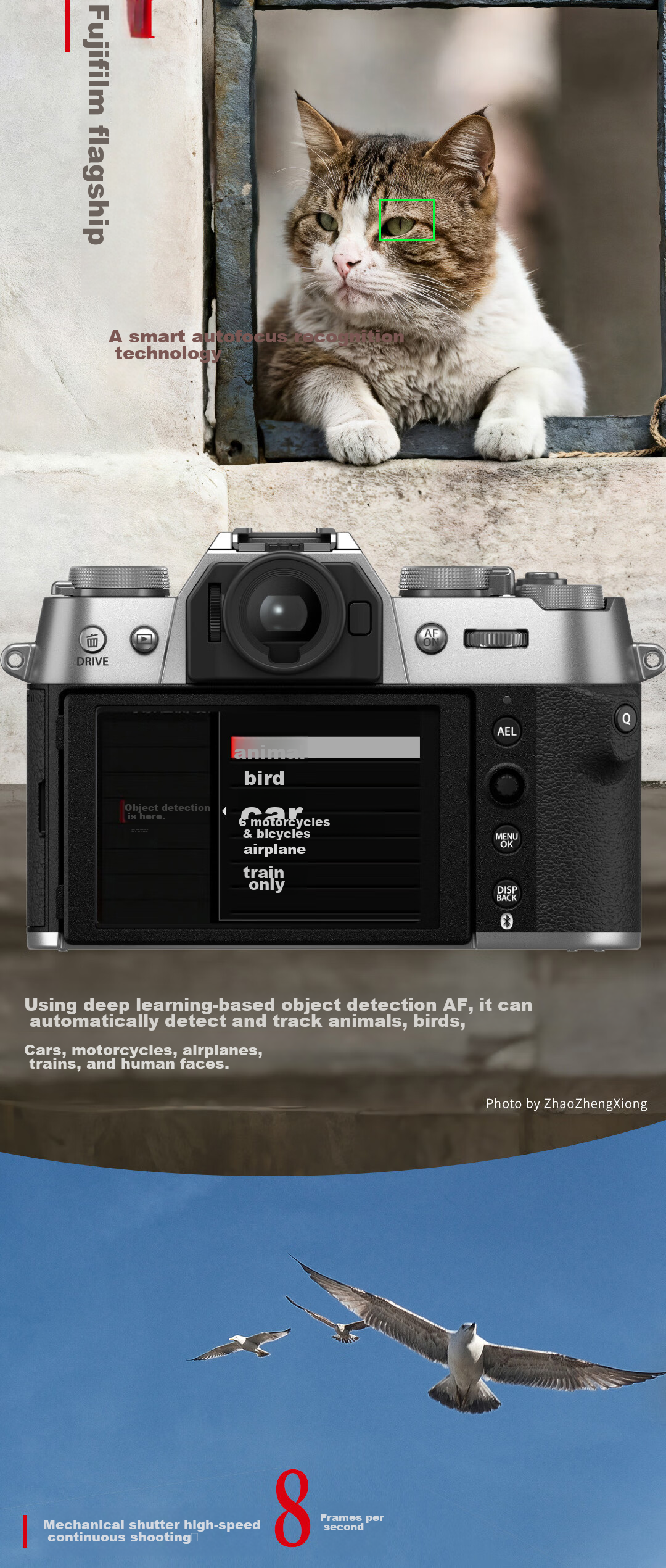 FUJIFILM X-T50/XT50 Mirrorless Camera Kit (With XC35F2 Lens), 40.2 Megapixels, 7-Stop Five-Axis Image Stabilization, 20 Film Simulation Modes, Graphite Gray 4