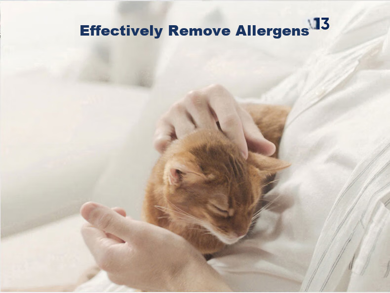 Blueair Air Purifier Removes Formaldehyde, Smog And Particulate Matter 9-Layer Purification for Home Pollution Control Smart Aurora Bacteria Shield 8660i 29