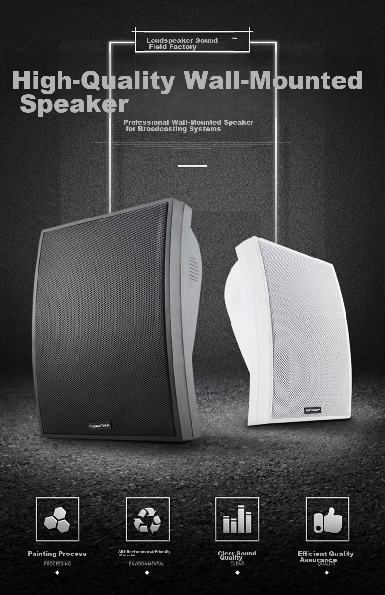 SAST DW70 Constant Voltage Wall-Mounted Speaker, 30W, for Meetings, Shops, Commercial Use, Engineering, Passive Conference Rooms, Dance Studios, Home Use, Background Music, Public Address System Speakers, Black 2