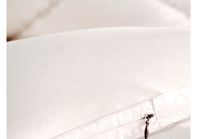 Interlagos Ergonomic 95% White Goose Down Comforter, Japanese Imported Duvet Insert, 700g Winter Quilt, 150*200cm 37