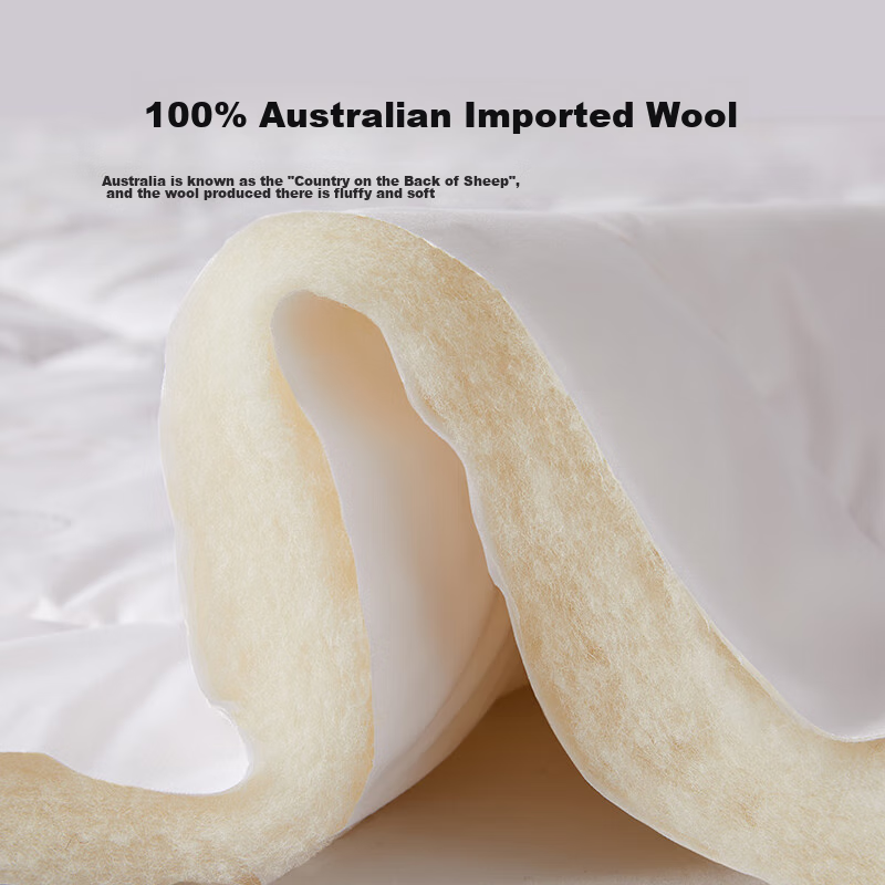 BEYOND Home Textiles Class A Antibacterial 100% Australian Imported Wool Comforter, Winter Quilt Duvet Insert, Approximately 4.6 Jin (2.3 Kg), 150*210cm