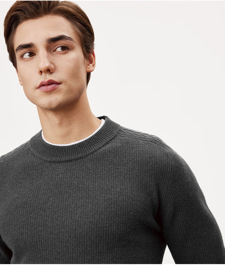 FIRS Australian Pure Wool Men's Heavyweight Thick Autumn Winter Soft Comfortable Casual Sweater 6