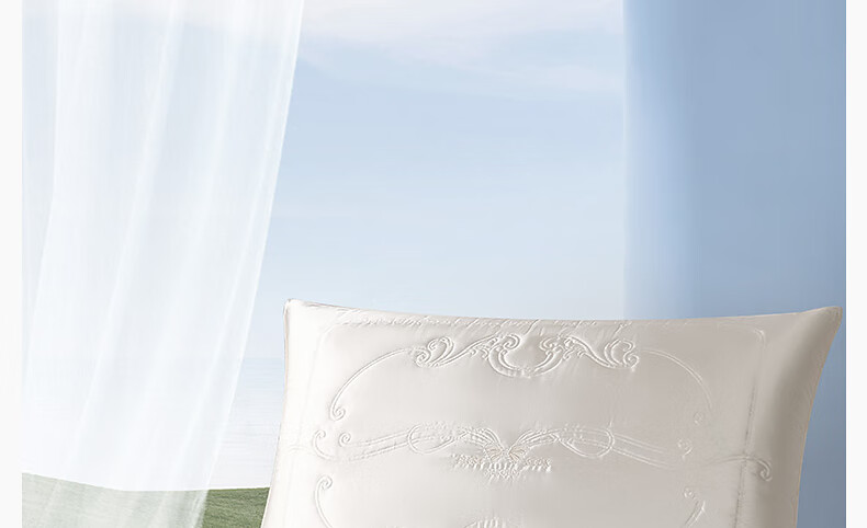 Shuixingjiafang Silk Pillow Core, Upgraded Class A Antibacterial Fabric Cervical Spine Protection Pillow Core, Home Use Single Pillow 74*48cm 14