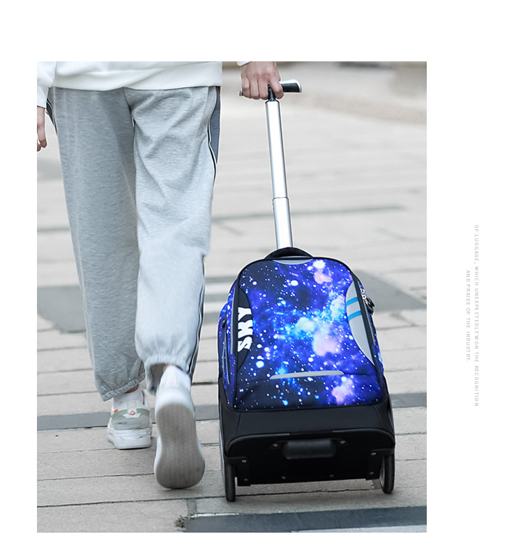 Dijiuchengbao Trolley Backpack for Primary School Students Grades 3-6 Boys And Girls Middle School Students Large Capacity Children's Backpack 16