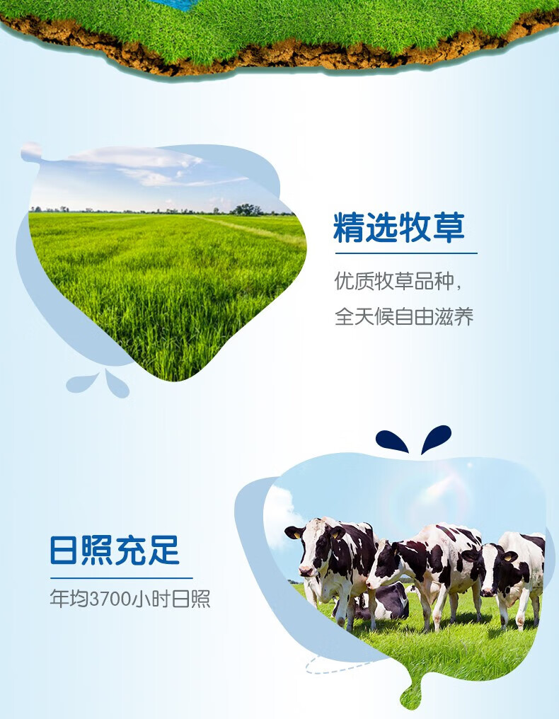 详情图.png
