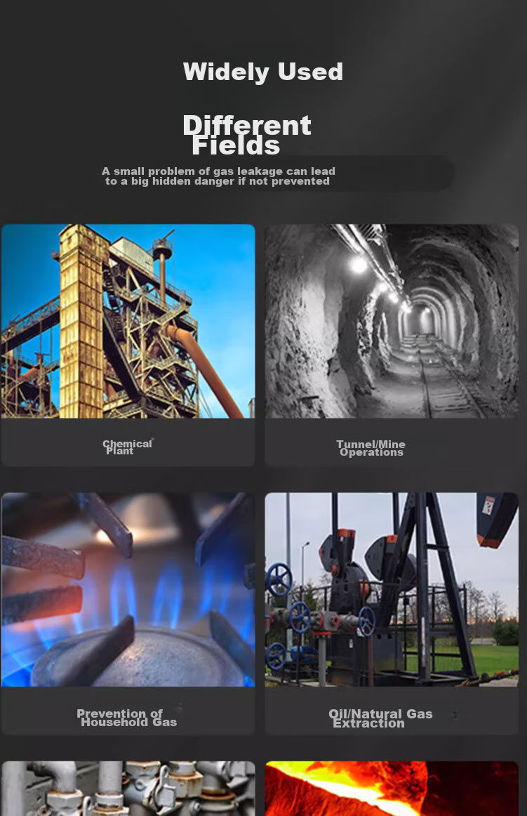 Beihai Combustible Gas Detector, Natural Gas And Coal Gas Handheld Portable Gas Detection Alarm with Digital Display, Model 816 6