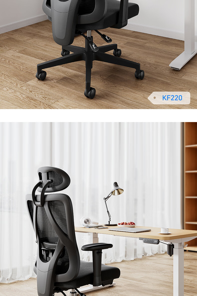 Deli KF221-J Ergonomic Chair, Height Adjustable Armrest Office Computer Chair, Alloy Feet with Footrest, Premium Versio 25