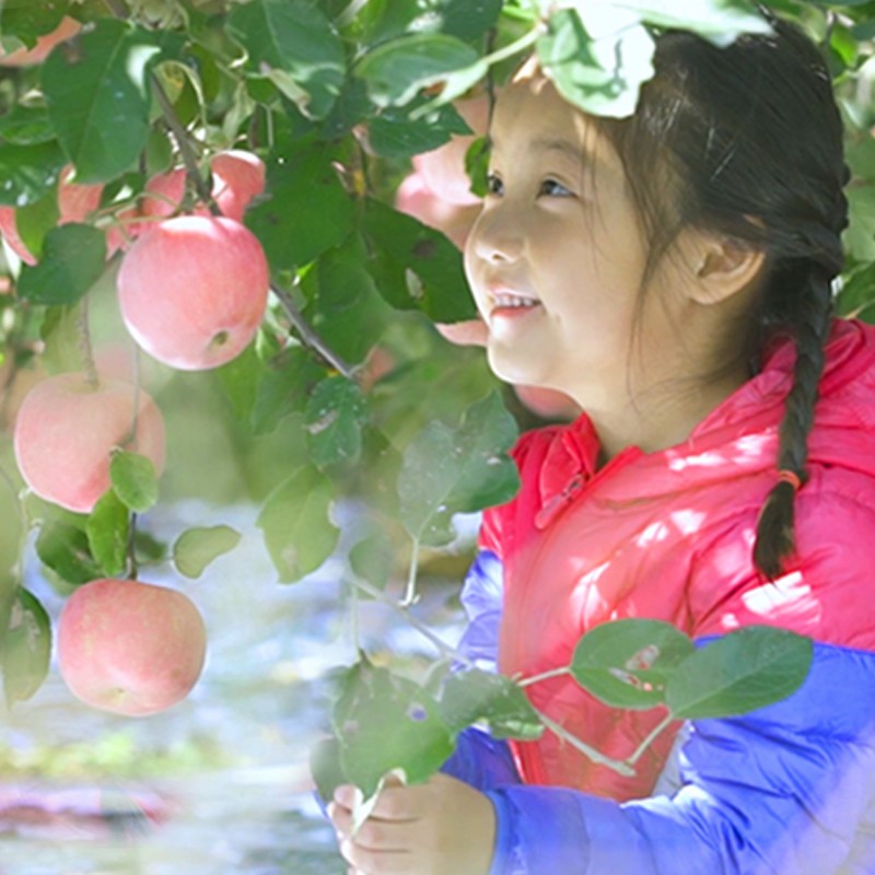 京鲜生 烟台红富士苹果 4粒装 单果160-190g 生鲜水果