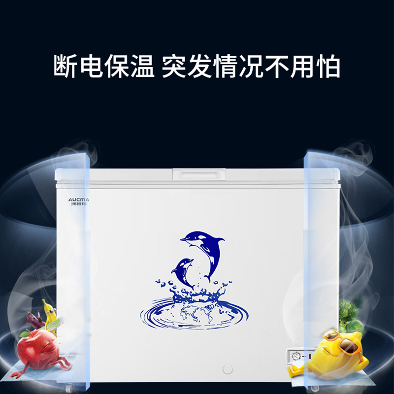 澳柯玛（AUCMA）323升卧式家用商用大容量冰柜 冷藏冷冻转换冷柜 单箱变温顶开冰箱  以旧换新 BC/BD-323NE