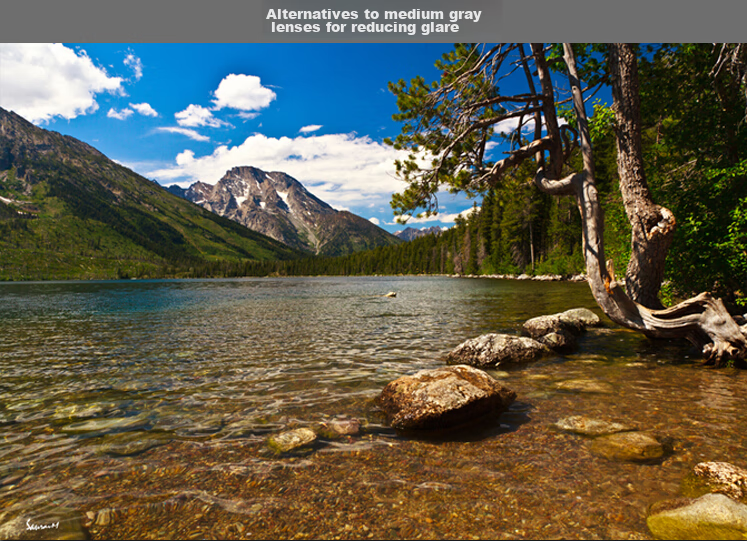 KENKO C-PLSLIM Ultra-Thin Polarizing Filter, 72mm 6
