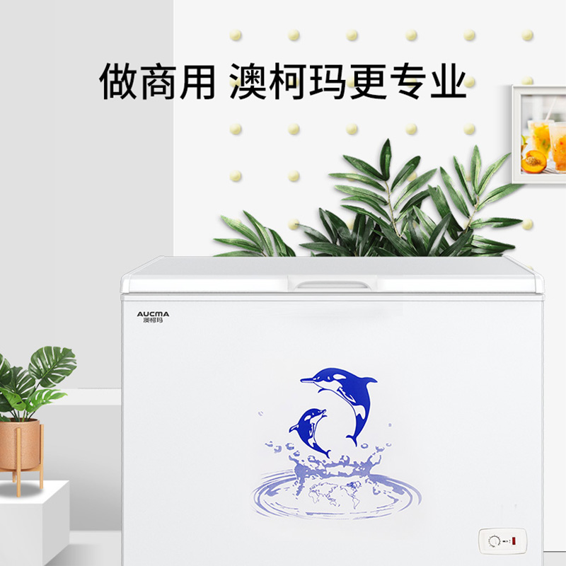 澳柯玛（AUCMA）323升卧式家用商用大容量冰柜 冷藏冷冻转换冷柜 单箱变温顶开冰箱  以旧换新 BC/BD-323NE
