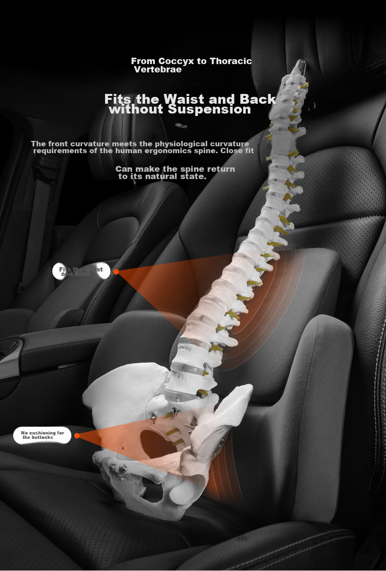 CICIDO [Innovative Technology], Lumbar Support Backrest Car Cushion Seat Pad, All Black SS0134 7