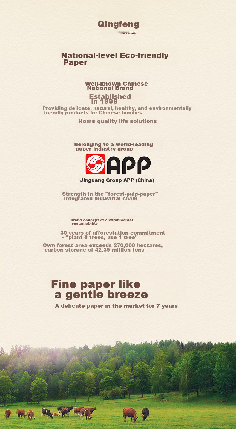 APP Facial Tissues, Soft And Smooth, 4-Ply, 110 Sheets, 20 Packs, Large Size, Toilet Paper, Napkins, Tissue Paper, Whole Box Packaging 6