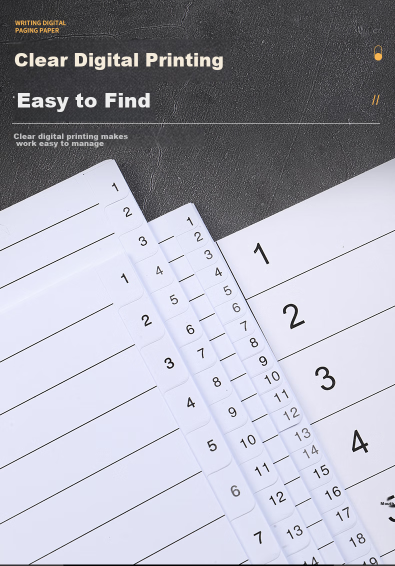 Elifo Folder, Punched Paper, Index Paper, Cardboard Dividers, A4 Label Pages, Insert Pages, Index Dividers, Classification Paper, Perforated, 10 Pages, Gray Color 7