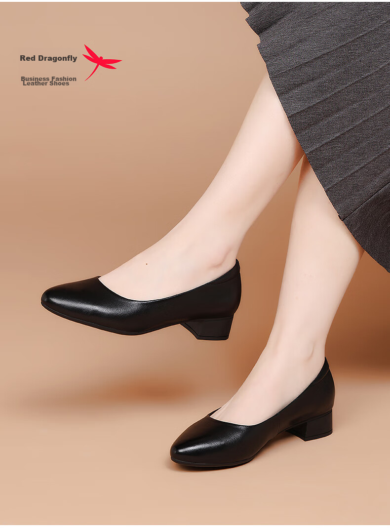 RED DRAGONFLY Women's Single Shoes with Chunky Heel, Shallow Mouth, Mid-Heel, Commuter Style Slip-On Shoes, Height-Increasing Slimming Leather Shoes WTB435931 2
