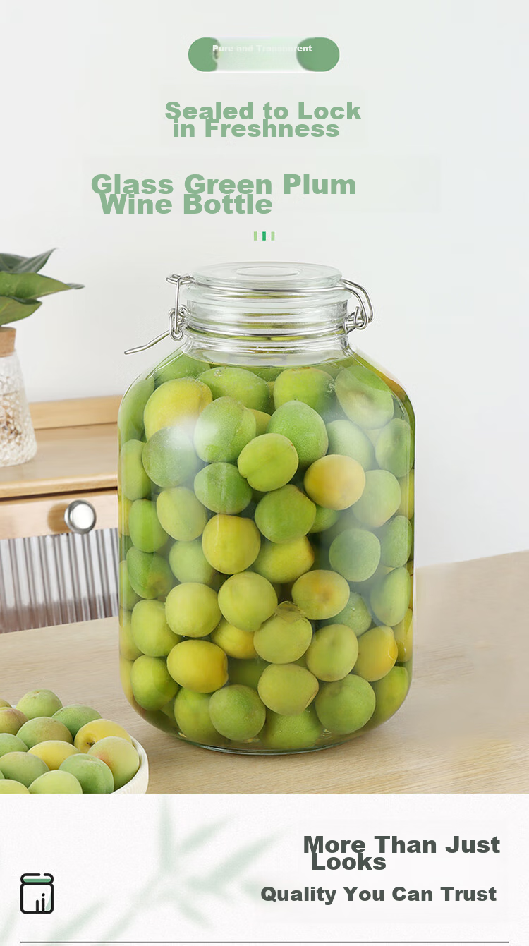 BJ Glass Jar for Infusing Liquor, Specialized Bottle for Making Yangmei Wine, Glass Container for Pickling Vegetables And Brewing Alcohol, 10 Jin Capacity 1
