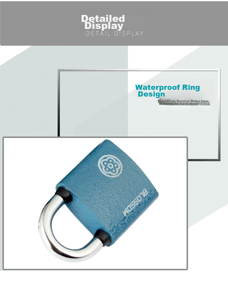 BLOSSOM Master Key Padlock Door Lock Power Lock Distribution Box Lock BC2938-1 Blue 38MM One Key Opens Multiple Locks 5