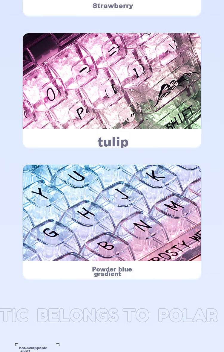 CoolKiller CK68 Polar Bear Wired/wireless/blue Toed Three-Mode Transparent Customizable Mechanical Keyboard, Ice Blade Switches, Linear Switches 12