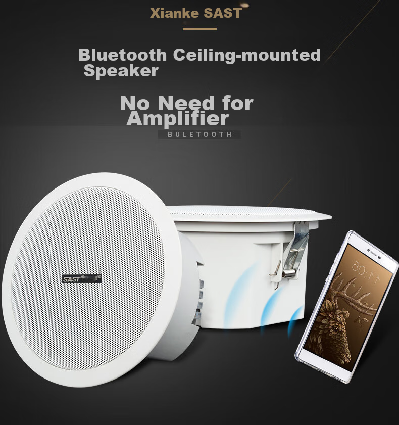 SAST 20W Wireless Bluetooth Ceiling Speaker Set with Built-In Amplifier for Indoor Background Music, Home Living Room, Store Audio System, Conference Broadcast System, Main Speaker 1