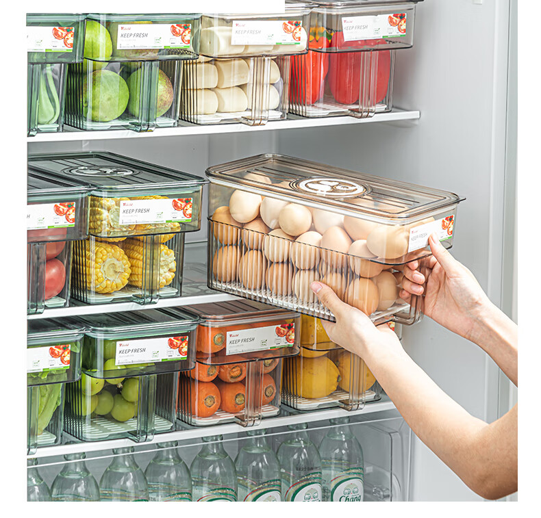 KATEI STORY Japanese Refrigerator Storage Box, Large Capacity, Timer Fresh-Keeping Box, Food-Grade Kitchen Fruit Egg Freezer Storage Organizer 2