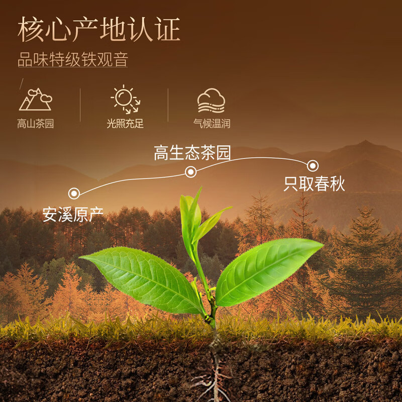 忆江南特级铁观音茶叶礼盒300g乌龙茶送礼送父母长辈礼物龙凤呈祥