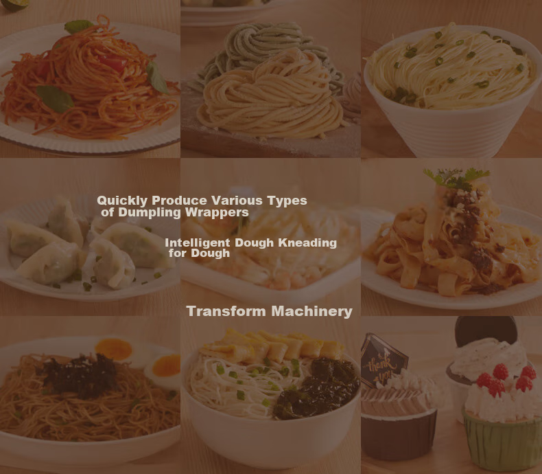 APIXINTL Anben Su Noodle Maker, Fully Automatic Pasta Machine, Multi-Functional Home Use, Multiple Mold Options, Electric Dough Kneader, Dumpling Wrapper Maker, 4-Person Capacity, APIX-M06 3