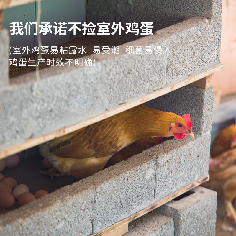 九華粮品散养土鸡蛋30枚 净重2.88斤 鲜鸡蛋 林区散养 京东自营