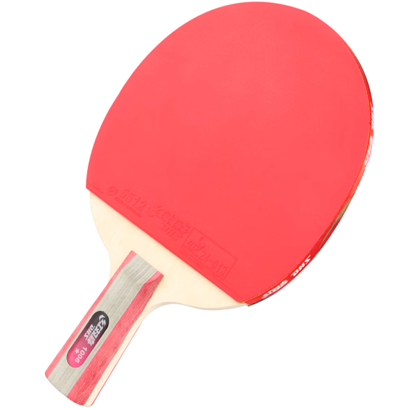 DHS One-Star Table Tennis Racket, Straight Handle, Single Racket, for Elementary School Students Aged 6-12, Beginners, H1006, Includes 6 Ping Pong Balls