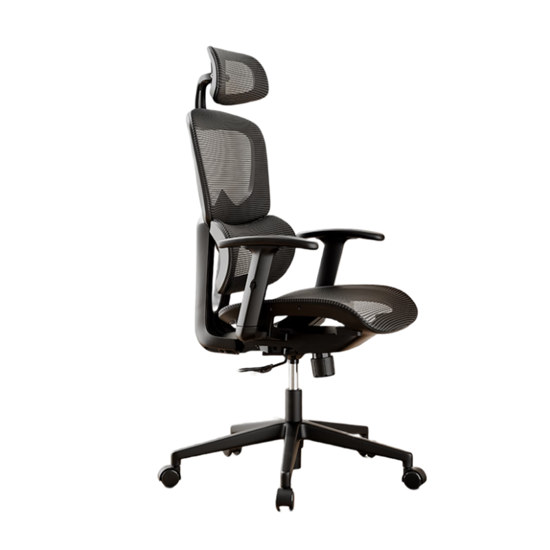 Deli Surfer Series Special Mesh Model, Ergonomic Chair Computer Chair, 3D Lumbar Support + Height Adjustable Armrests + 2D Headrest, Black