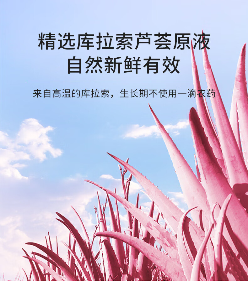 sakose凡士林粉红芦荟胶250ml 淡化痘印补水保湿睡眠面膜晒后修护芦荟