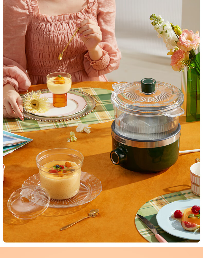 Donlim Electric Stew Pot, Soup And Bird's Nest Double Boiler, Health-Preserving Water Bath Cooker, BB Soup Pot, Small Glass Electric Stew Pot for Nourishment And Beauty, DL-9002 (Forest Green) 14
